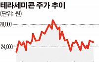 [SP] 삼성디스플레이, 테라세미콘 2대주주로 올라선다