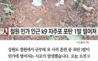 [카드뉴스] 철원 민가 인근에 군부대 사격 포탄 떨어져… 주민들 혼비백산