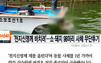 [카드뉴스] '천지신명께 제를 올리기 위해' 동물 사체 한강에 유기한 50대 구속