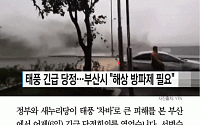 [카드뉴스] 태풍 직격탄 맞은 부산, ‘특별재난지역’ 지정 검토