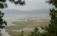 처음 가 본 순천만