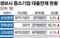 농협생명 중기대출 연체율 ‘비상’