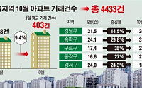 [데이터뉴스] 서울 아파트 거래량 다시 증가세로… 10월들어 8.3% 껑충