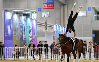 [포토]말산업박람회,  세계마상체조챔피언의 위엄