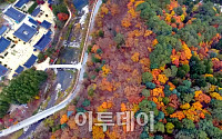 [포토]단풍에 둘러싸인 산사(山寺)