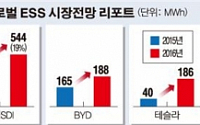 글로벌 ESS 韓 독주… LG화학·삼성SDI 동반 점유율 ‘40%’