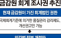 금감원, 회계법인 종합조사권 도입 추진
