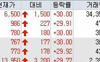 [오늘의 상한가] 코리아01호 등 한진해운 대책 마련 소식에 ‘上’…GRT 첫날 ↑