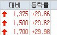 [오늘의 상한가] 고려산업ㆍDSR제강, ‘최순실 게이트’ 대선 테마주 영향 ‘上’