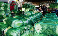 [포토] 김장철 앞두고 분주한 가락시장 상인들