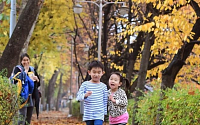 [포토] 깊어가는 가을 낙엽거리