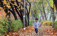 [포토] 낙엽거리 뛰노는 아이들