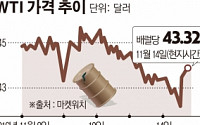 OPEC, 총회 앞두고 막바지 외교전...‘감산 합의’ 나올까