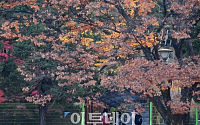 [일기예보] 오늘 날씨, 전국 맑다가 밤부터 곳곳에 비…'서울 낮 16도' &quot;미세먼지 주의하세요!&quot;