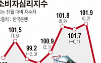 최순실ㆍ트럼프 여파…11월 소비자심리지수 폭락