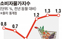 11월 소비자물가 1.3%↑…생활물가 상승률 28개월만에 최고