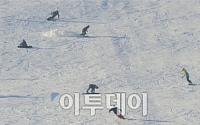 [포토] 주말맞아 스키장 찾은 사람들