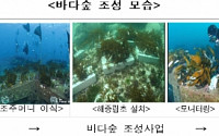 해수부, 내년에 바다숲 3038haㆍ바다목장 5개소 신규 조성