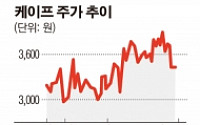 케이프, 양산 토지자산 재평가 실시… 360억원 차익 발생