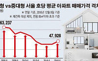 [데이터 뉴스] 서울 중소형 아파트 역대 최고가… 중대형과 격차 좁혀