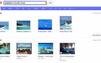 다음, 글로벌 ‘빙’ 이미지ㆍ동영상 검색 가능해져