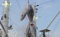 동원산업, 고위도 북대서양 참다랑어 어획 성공