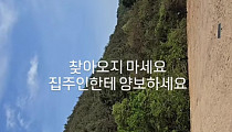 한혜진 홍천별장 무단침입 피해…"무서워요" 고통 호소