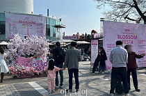 벚꽃·와인·음악의 향연 ‘2026 남산 와인페어’...작년보다 외국인 2배 몰렸다[가보니]