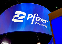 화이자, TOP1 '메소텔린 ADC' 중단..초기 항암제 2건도