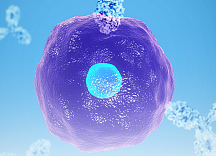 캔디드 '본게임', 역합병 5억弗 조달..