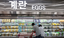 달러가 움직이면 닭이 화내는 이유?…계란값이 알려준 진실