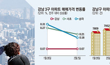 강남 급매물 나와도 매수자는 관망…'눈치' 보는 시장