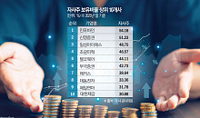 '주주환원' 명분에 갇힌 경영…자사주 소각이 부를 성장통