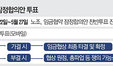 삼성 협상 타결에도 마지막 관문…조합원 찬반투표·주주단체 변수