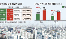 강남3구 매물 쌓이는데⋯8평 초소형은 19억5000만원