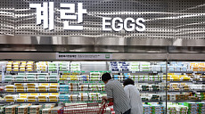 달러가 움직이면 닭이 화내는 이유?…계란값이 알려준 진실