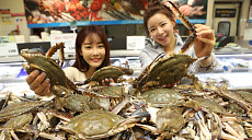 올가을 꽃게 최근 10년 '최대 어획'…품질 좋고 가격 안정