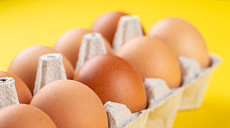 ‘하루 계란 한 알’ 시대⋯50년간 1인당 소비량 4배↑