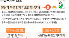 두유와 계란, 같이 먹으면 안 된다?