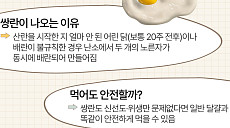'쌍란' 달걀의 진짜 정체