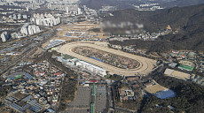 공급 대책서 또 빠진 정비사업…공공만으론 역부족 지적