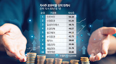 '주주환원' 명분에 갇힌 경영…자사주 소각이 부를 성장통