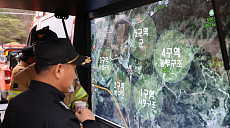 대전 오월드 늑대 탈출에 쏟아진 의문…도대체 어떻게?