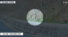 탈출 늑대 '늑구'는 어디에…사흘째 추적 속 '가짜 정보' 변수