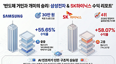 개미들이 사랑한 '삼전닉스'…주가 떨어져도 '싱글벙글' 이유