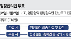 삼성 협상 타결에도 마지막 관문…조합원 찬반투표·주주단체 변수