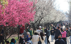 월요일 포근한 봄 날씨⋯서울 최고기온 19도 
