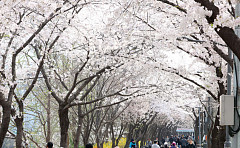  아침 최저 영하 2도 ‘꽃샘추위’⋯낮엔 기온 올라