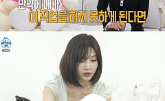 '나혼산' 조이, 애견 미용 도전 이유⋯"연예인 못하면 뭘 해야 하나"