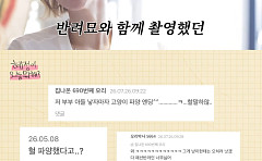 이혜정, '반려묘 파양' 의혹 10년째⋯"아직도 악플, 잘 지낸다"